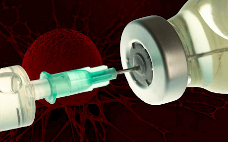 麻省理工学院生物学家确定癌症疫苗的新靶点