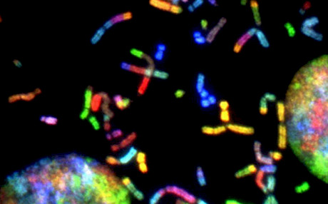 科学家揭开复杂网络神秘面纱的新算法