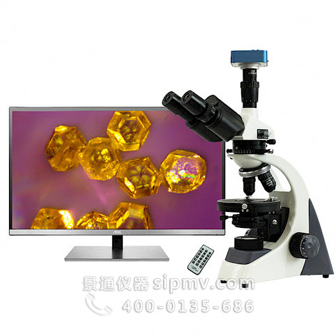 POL1300三目偏光显微镜中药粉末晶体观察