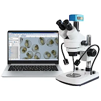 VMS205A三目双侧光源体视显微镜
