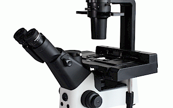 VMB600PH科研级三目倒置相衬生物显微镜