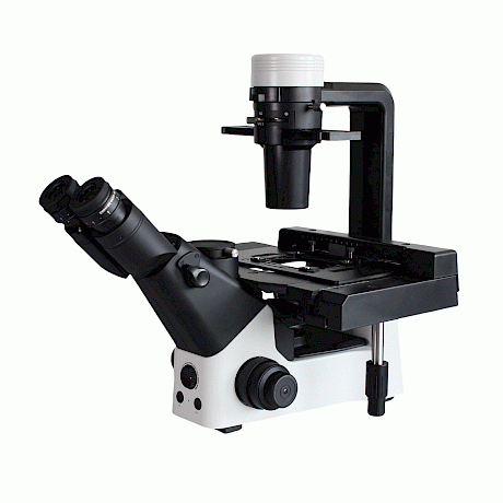 VMB600PH科研级三目倒置相衬生物显微镜看细胞