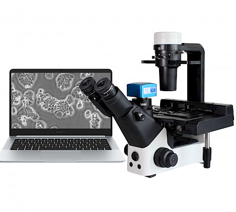 VMB600PH科研级三目倒置相衬生物显微镜看细胞