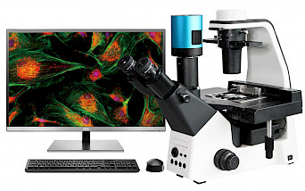 VMF500I科研级三目倒置荧光显微镜